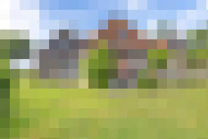 Doniaweg 61 Hallum thumbnail 11