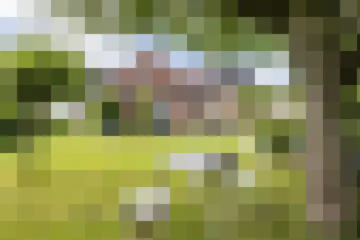 Doniaweg 61 Hallum thumbnail 12