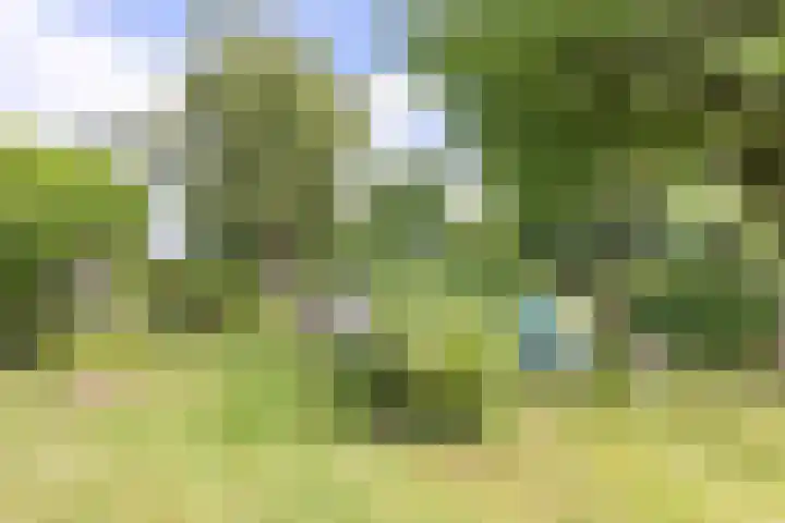 Doniaweg 61 Hallum thumbnail 13