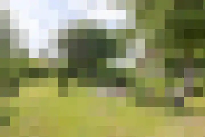 Doniaweg 61 Hallum thumbnail 14