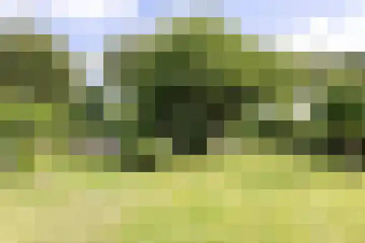 Doniaweg 61 Hallum thumbnail 15