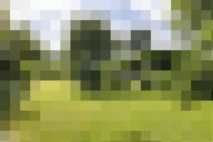 Doniaweg 61 Hallum thumbnail 16