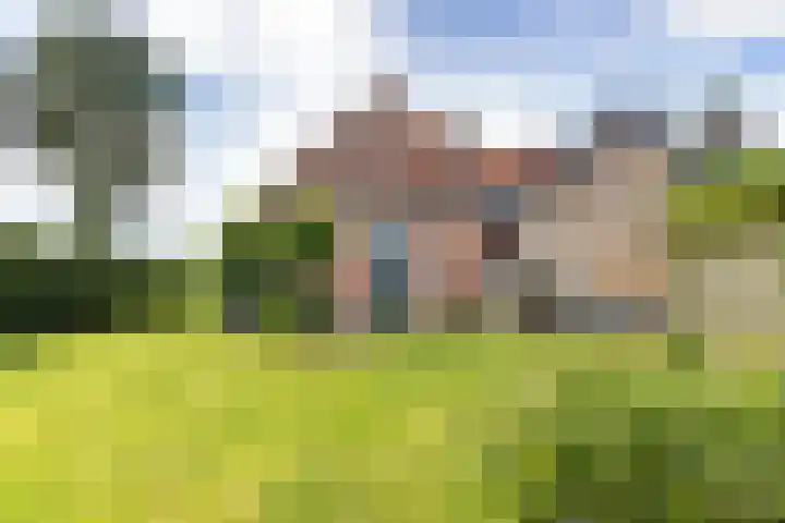 Doniaweg 61 Hallum thumbnail 17