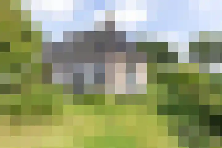 Doniaweg 61 Hallum thumbnail 18