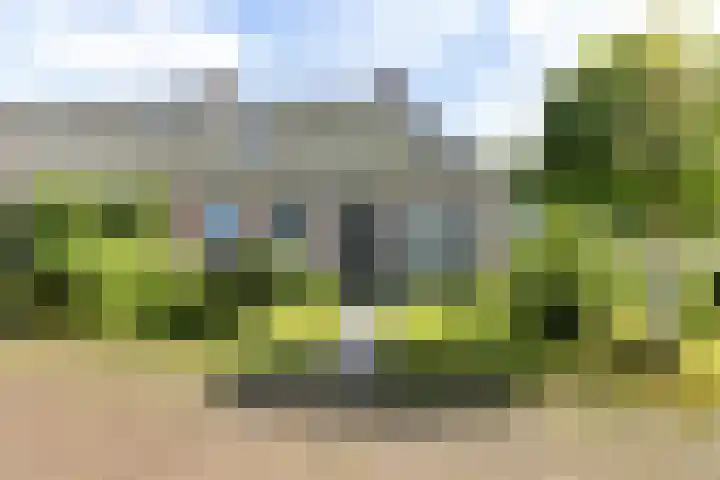 Doniaweg 61 Hallum thumbnail 19