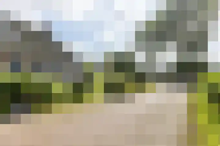 Doniaweg 61 Hallum thumbnail 20