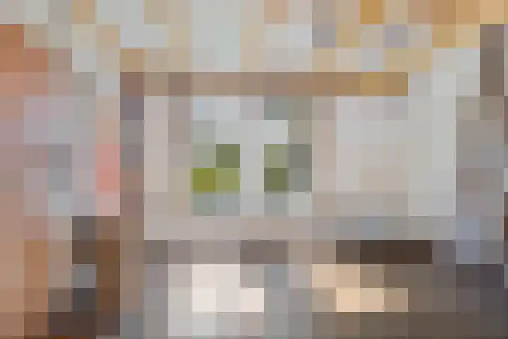 Doniaweg 61 Hallum thumbnail 6
