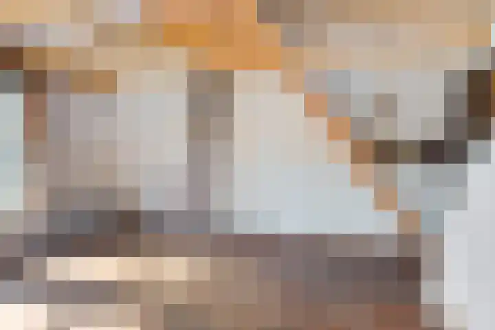 Doniaweg 61 Hallum thumbnail 7