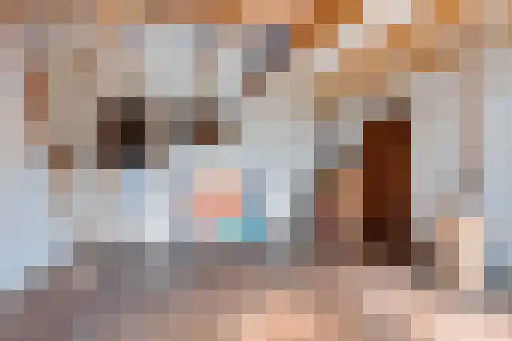 Doniaweg 61 Hallum thumbnail 8