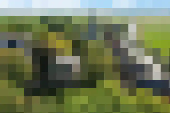 Doniaweg 7 Burgwerd