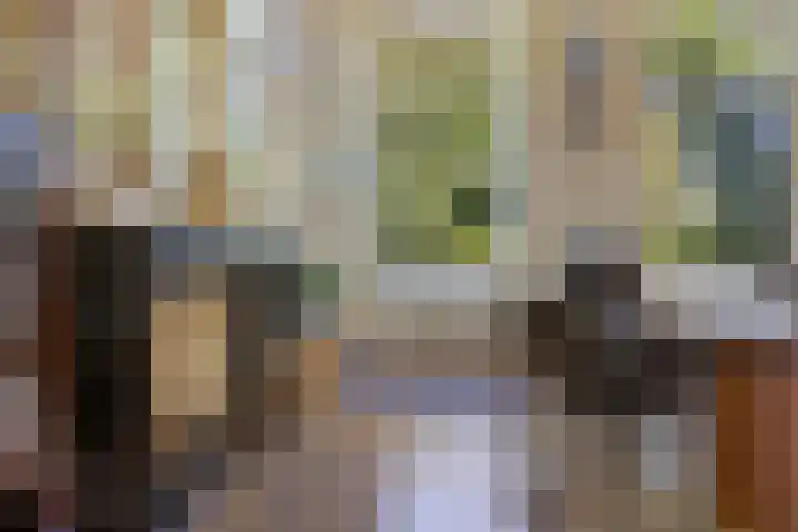 Doniaweg 7 Burgwerd thumbnail 17