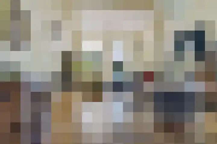 Doniaweg 7 Burgwerd thumbnail 18