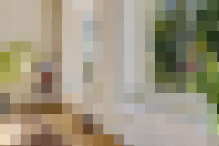 Doniaweg 7 Burgwerd thumbnail 21