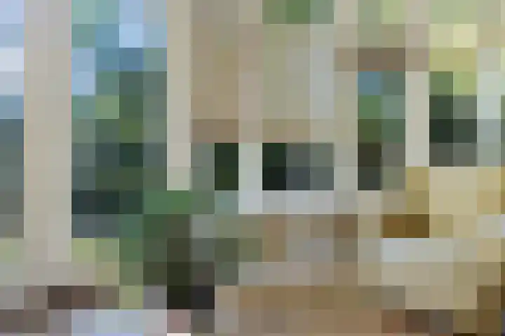 Doniaweg 7 Burgwerd thumbnail 24