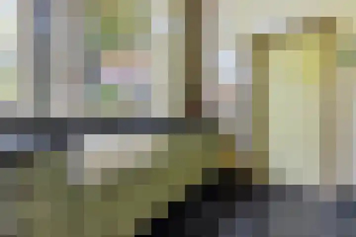 Doniaweg 7 Burgwerd thumbnail 26