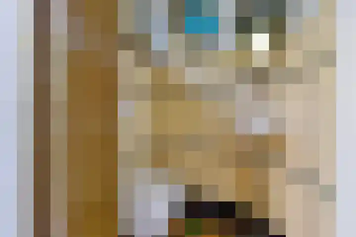 Doniaweg 7 Burgwerd thumbnail 29