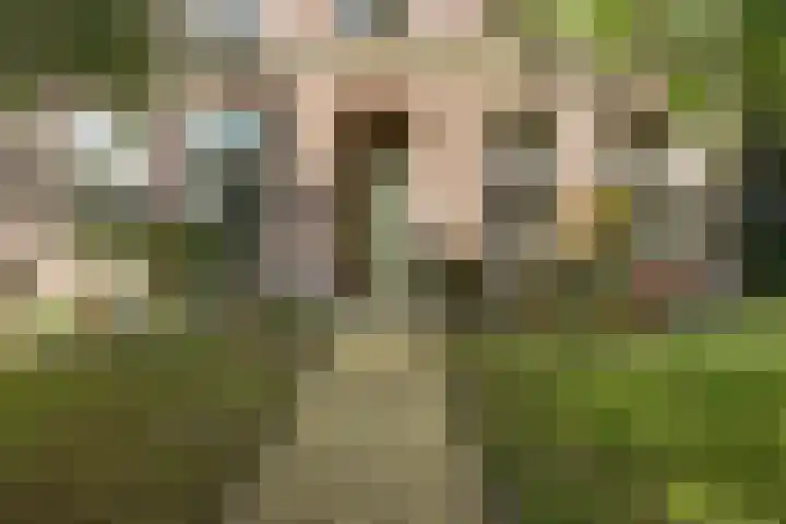 Doniaweg 7 Burgwerd foto 3