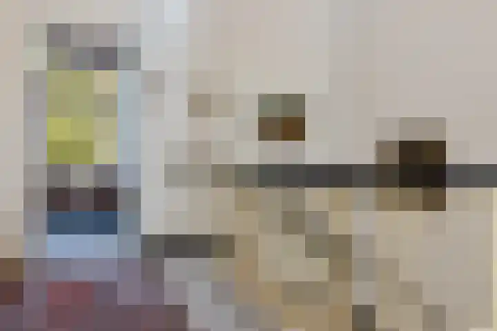 Doniaweg 7 Burgwerd thumbnail 34