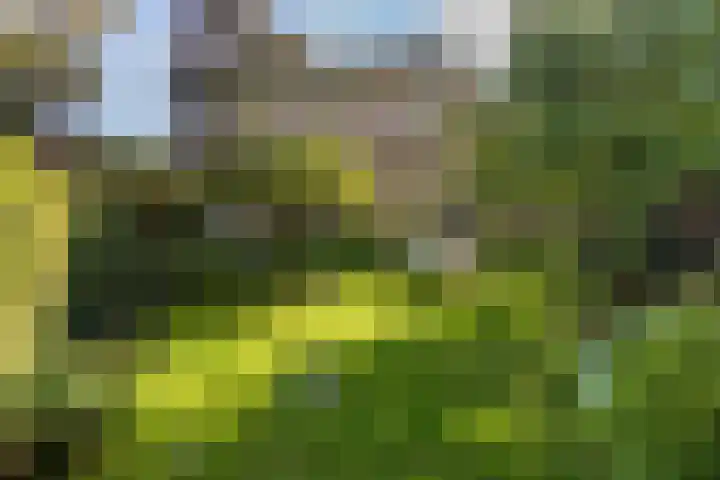 Doniaweg 7 Burgwerd thumbnail 53