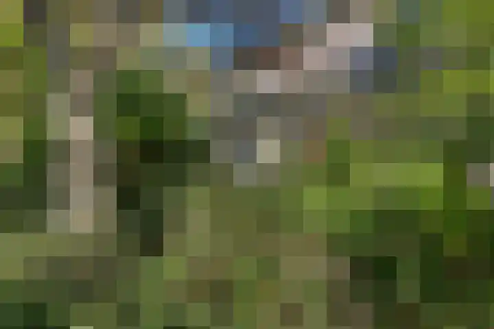 Doniaweg 7 Burgwerd thumbnail 54