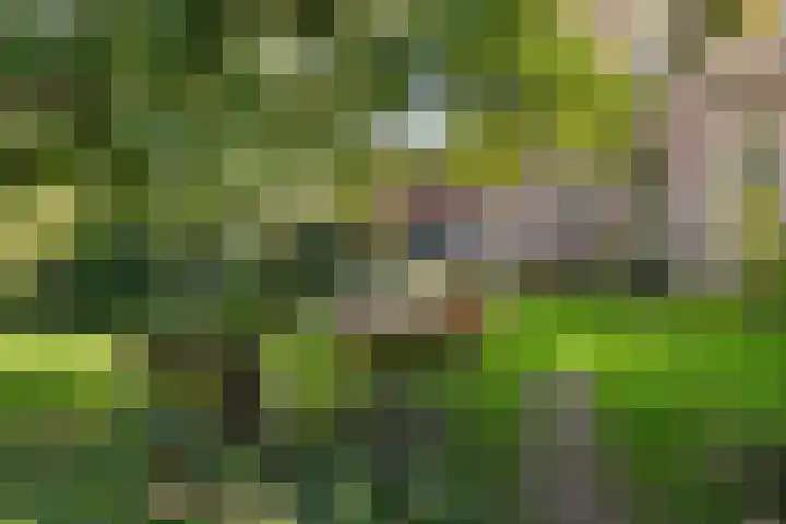 Doniaweg 7 Burgwerd thumbnail 55