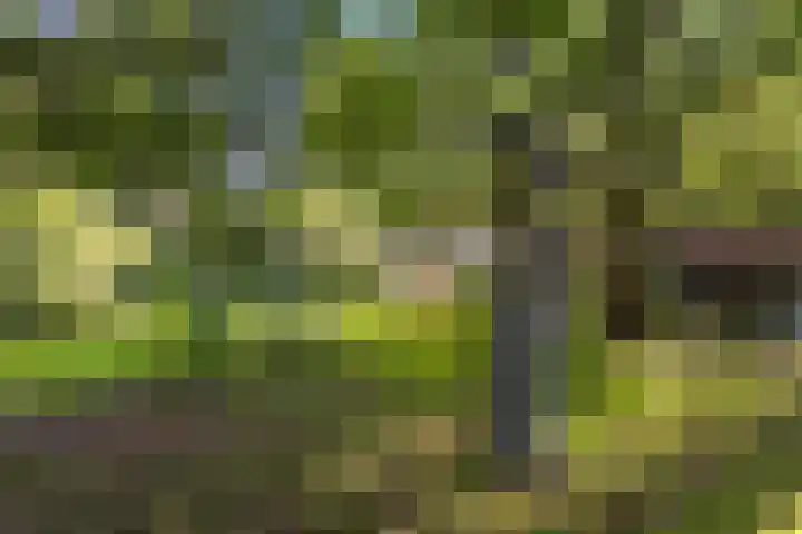 Doniaweg 7 Burgwerd thumbnail 56
