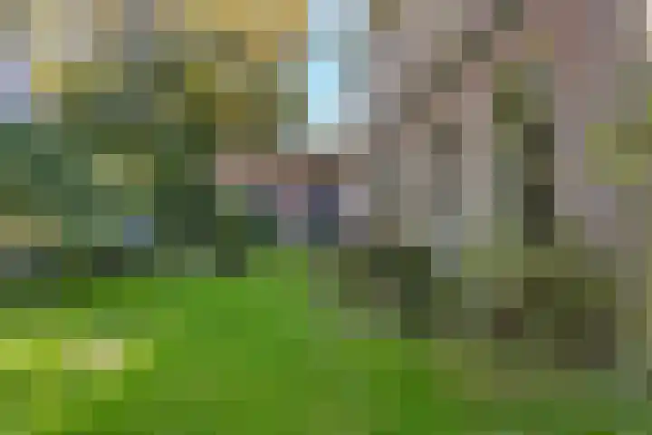 Doniaweg 7 Burgwerd thumbnail 57