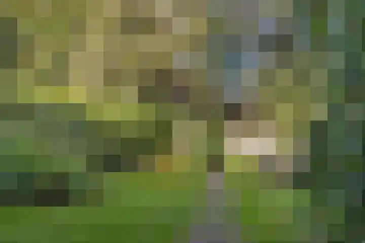 Doniaweg 7 Burgwerd thumbnail 58