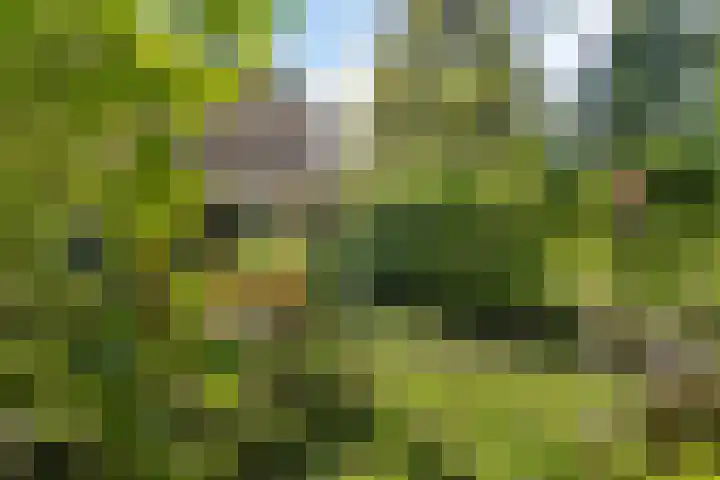 Doniaweg 7 Burgwerd thumbnail 59