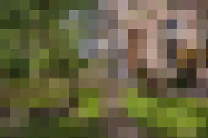 Doniaweg 7 Burgwerd thumbnail 6