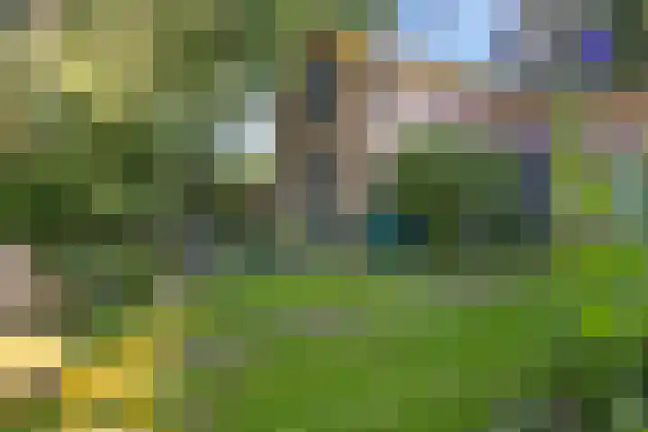 Doniaweg 7 Burgwerd thumbnail 60
