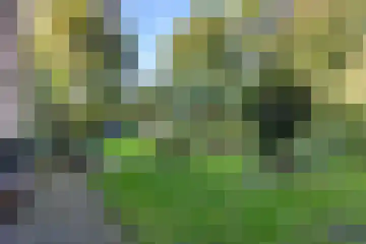 Doniaweg 7 Burgwerd thumbnail 61