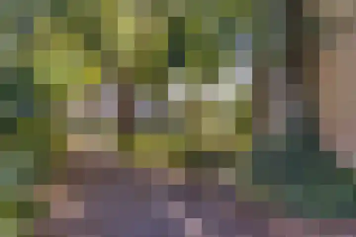 Doniaweg 7 Burgwerd thumbnail 62