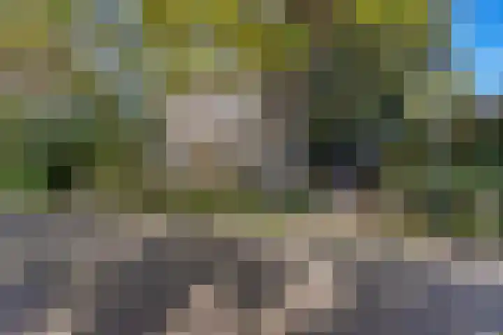 Doniaweg 7 Burgwerd thumbnail 63
