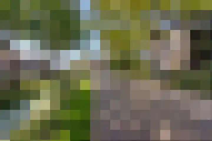 Doniaweg 7 Burgwerd thumbnail 64