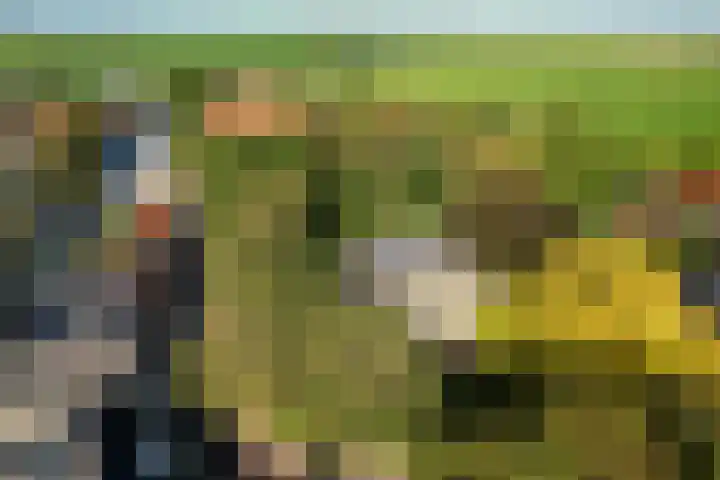 Doniaweg 7 Burgwerd thumbnail 65
