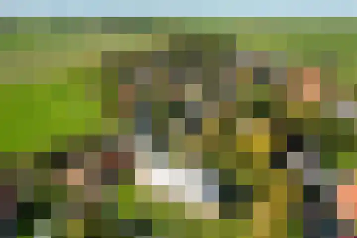 Doniaweg 7 Burgwerd thumbnail 66