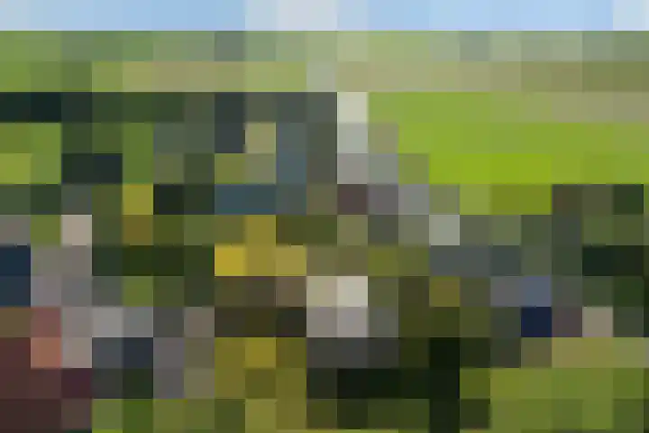 Doniaweg 7 Burgwerd thumbnail 67