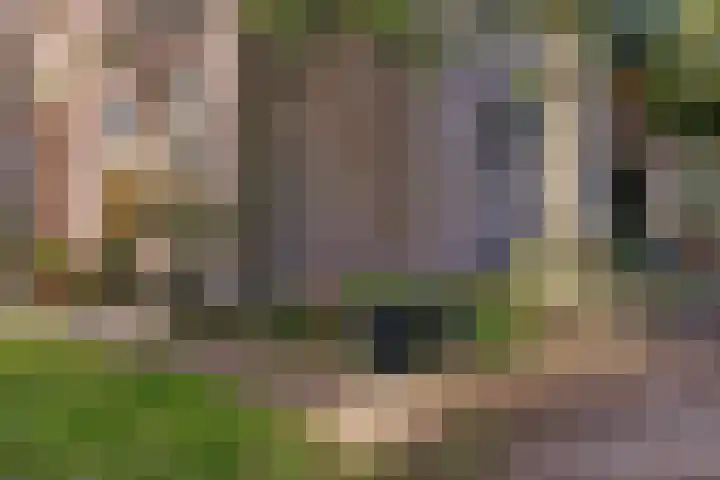 Doniaweg 7 Burgwerd thumbnail 7