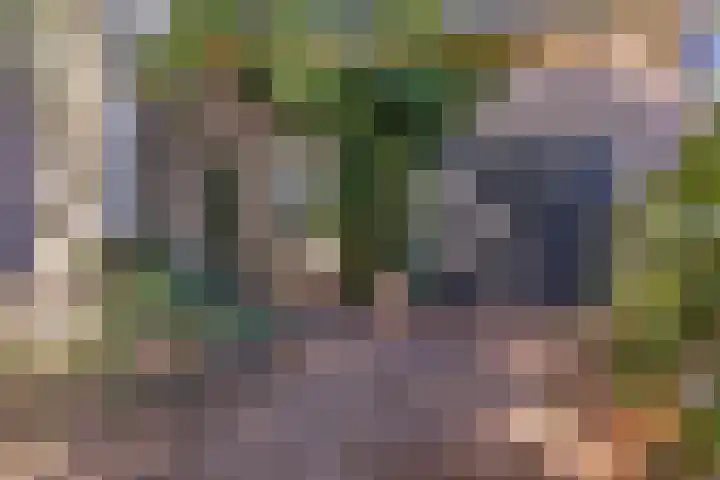 Doniaweg 7 Burgwerd thumbnail 8