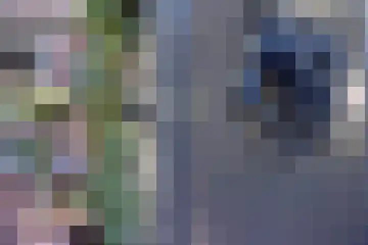 Doniaweg 7 Burgwerd thumbnail 9