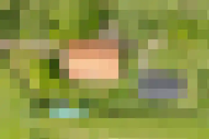 Doniawei 109 Damwâld thumbnail 10