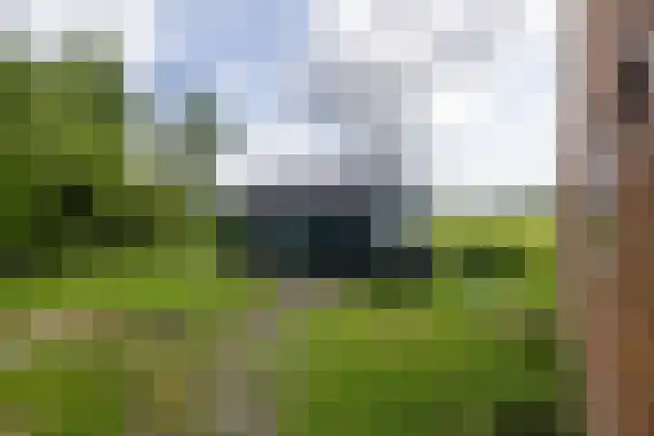 Doniawei 109 Damwâld thumbnail 14