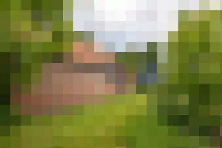 Doniawei 109 Damwâld thumbnail 17