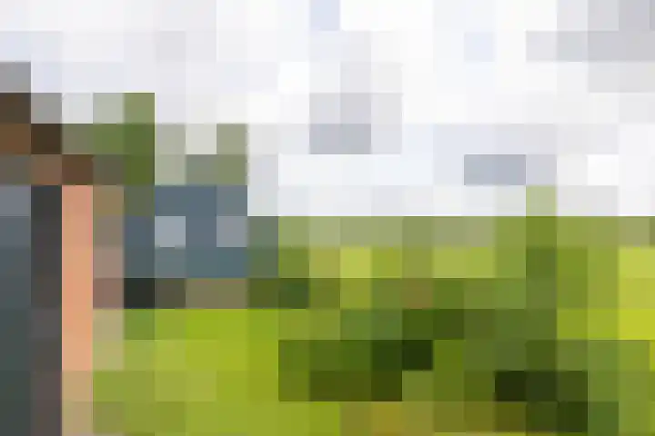 Doniawei 109 Damwâld thumbnail 19