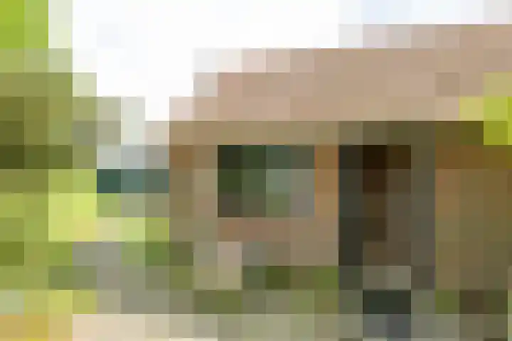 Doniawei 109 Damwâld thumbnail 20