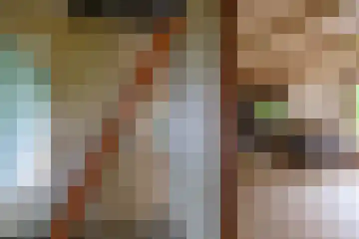Doniawei 109 Damwâld thumbnail 21