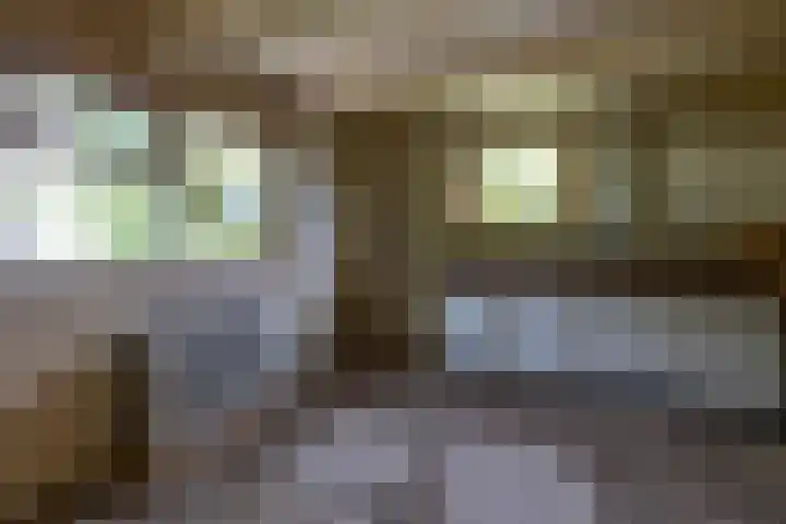 Doniawei 109 Damwâld thumbnail 22