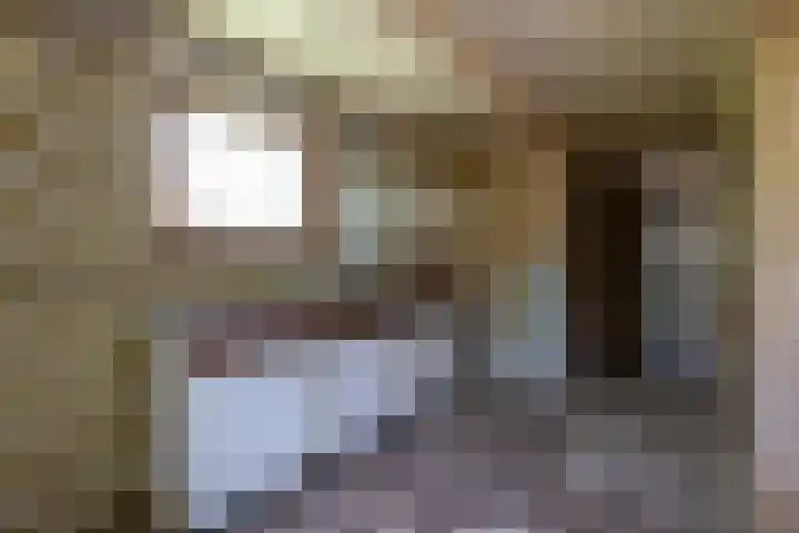 Doniawei 109 Damwâld thumbnail 23