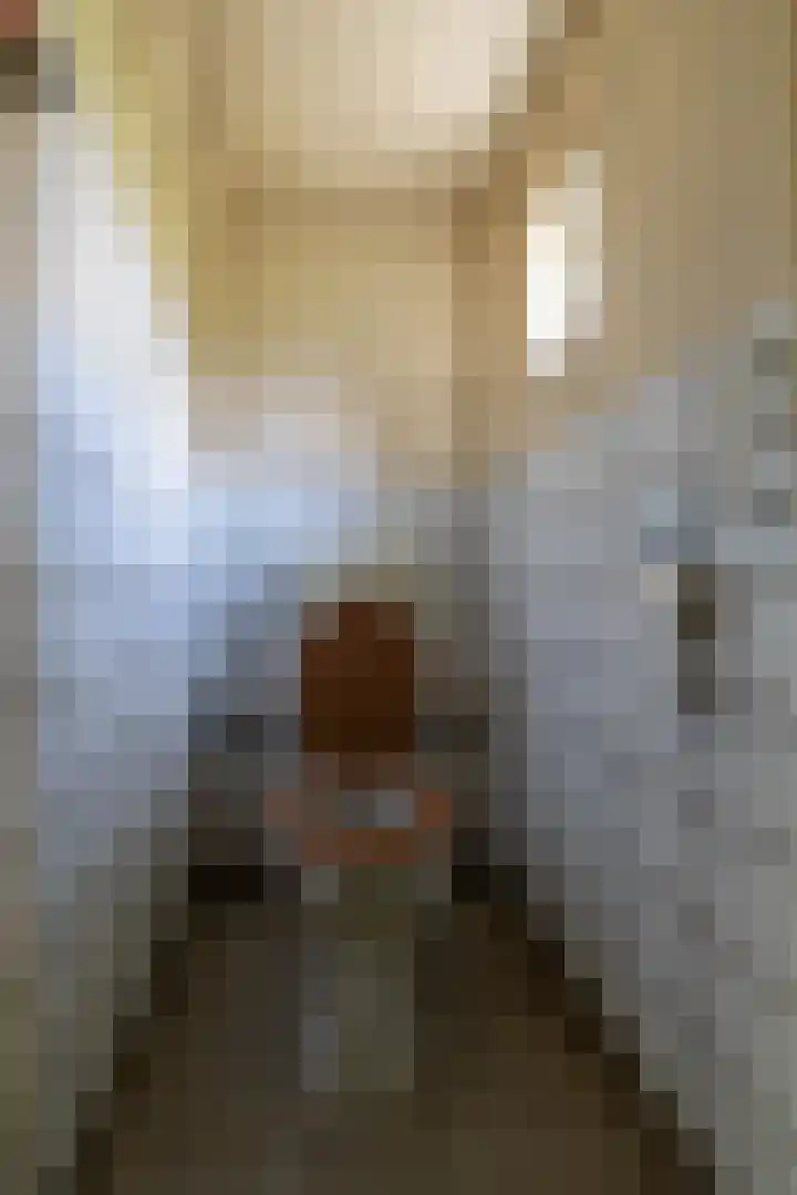 Doniawei 109 Damwâld thumbnail 27